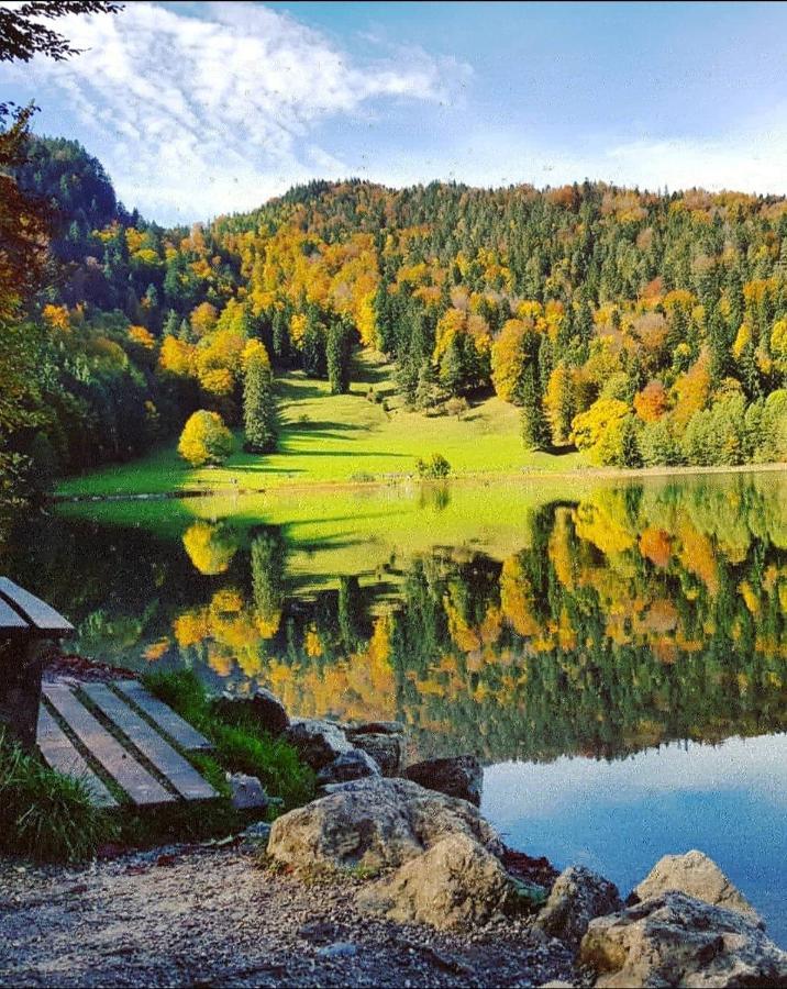 Panoramablick